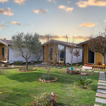 Hotel Villa Linda Shkodër Exteriör bild