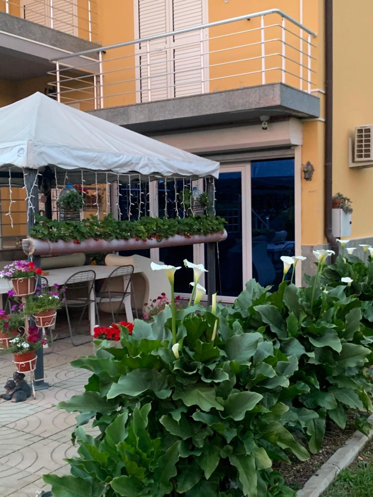 Hotel Villa Linda Shkodër Exteriör bild