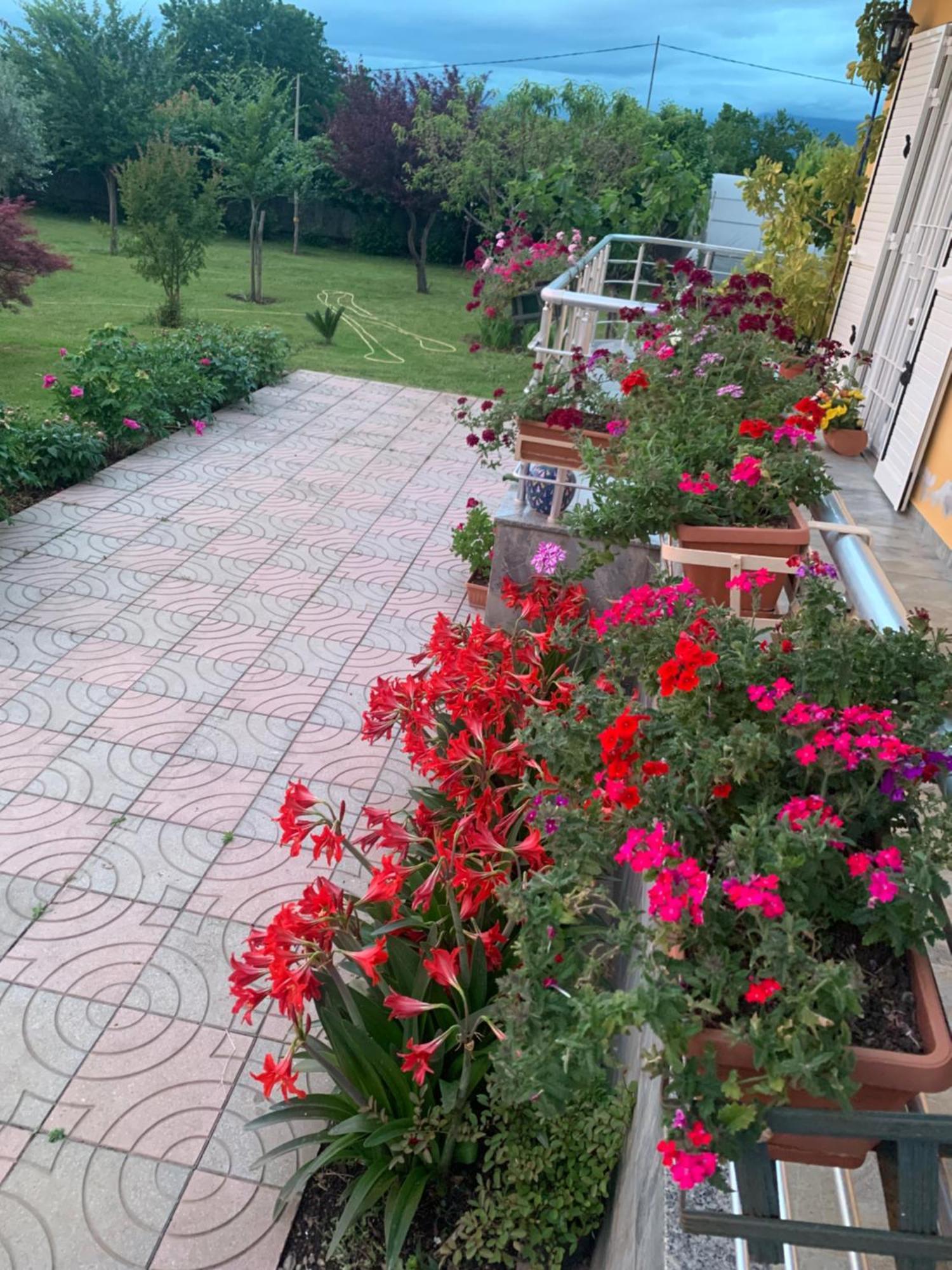 Hotel Villa Linda Shkodër Exteriör bild